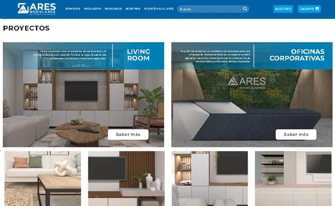 Proyecto Web Corporativa Edrian Vision Desarrollador Web Wordpress