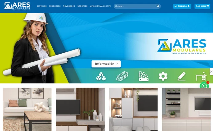 Proyecto Web Corporativa Edrian Vision Desarrollador Web Wordpress