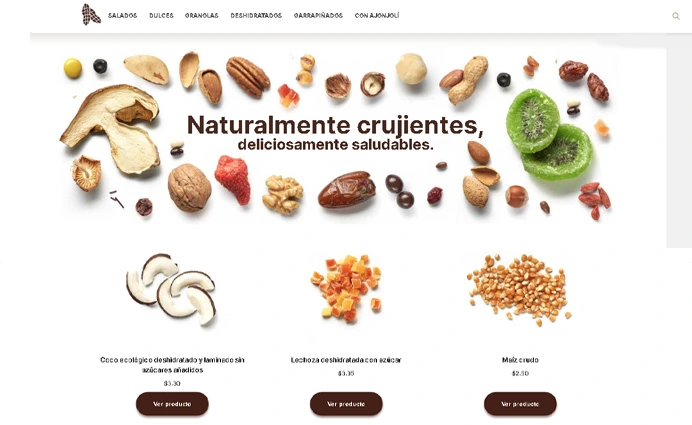 Proyecto Ecommerce Personalizado Edrian Vision Wordpress